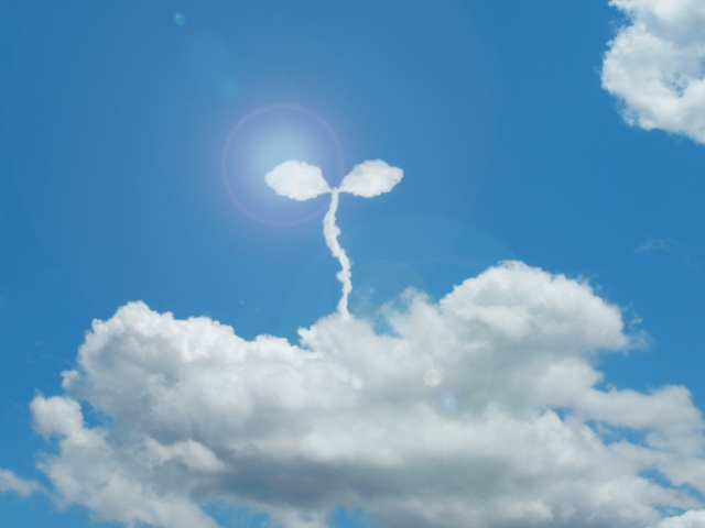 8f9295c69ccfb10b68f2da32780714ce_s